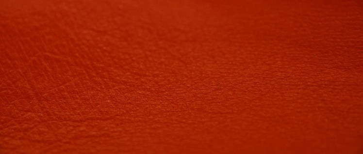 hypnose_paris_15ème_mrhypnose_martinrabaud_maladies de peau